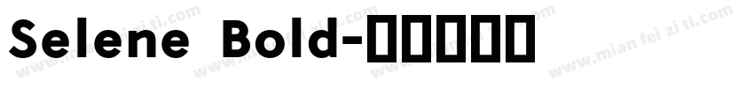 Selene Bold字体转换